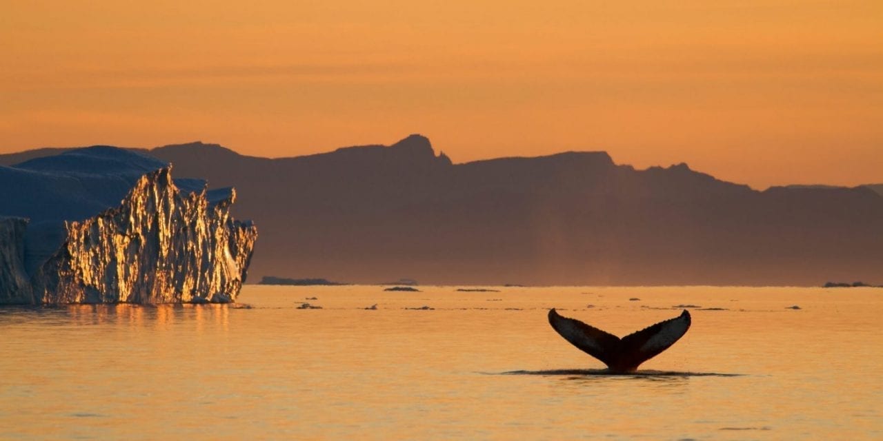 Fotograf: Julie Skotte - Visit Greenland