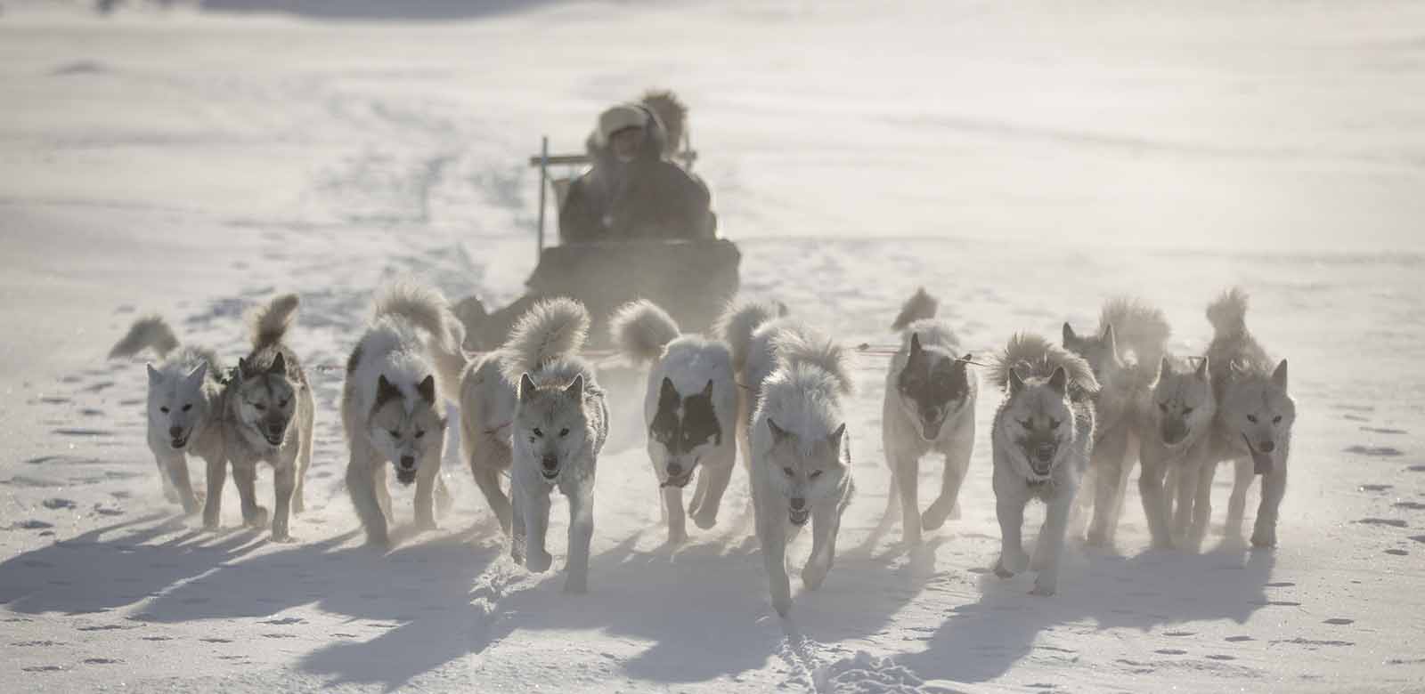 Fotograf: Mads Pihl - Visit Greenland