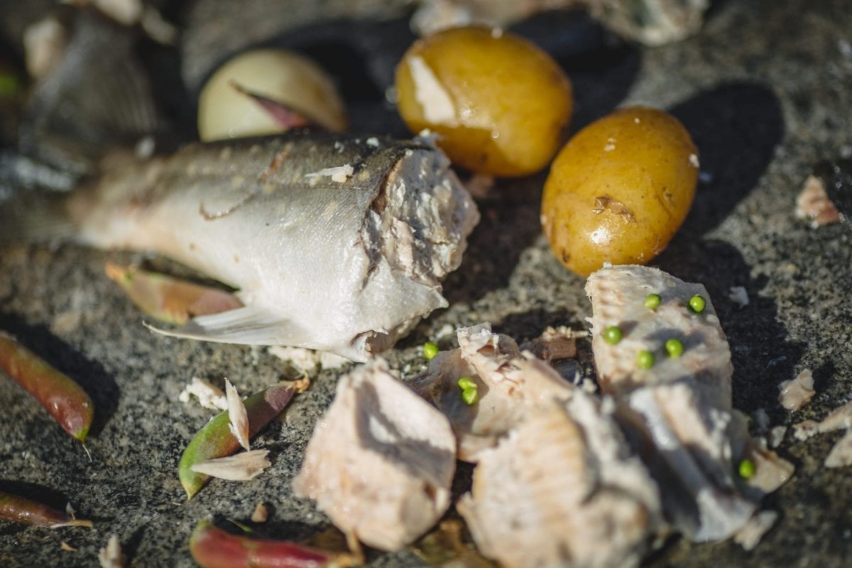 Frisk fisk med grøntsager og kartofler lavet direkte på varme sten på stranden nær Narsaq i Sydgrønland - Fotograf: